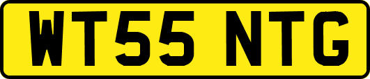 WT55NTG