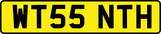 WT55NTH