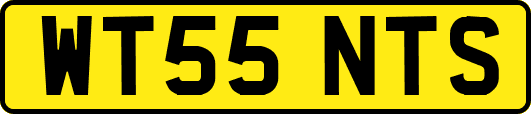WT55NTS