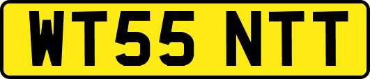 WT55NTT