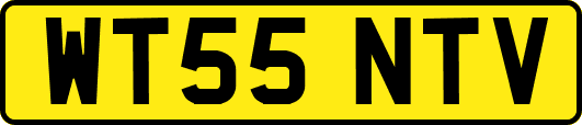 WT55NTV