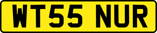 WT55NUR