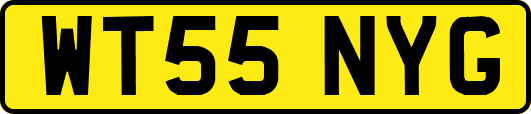 WT55NYG