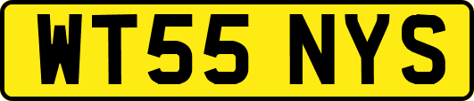 WT55NYS