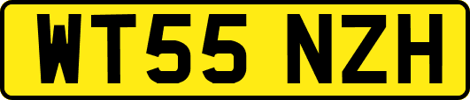 WT55NZH
