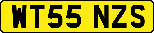 WT55NZS