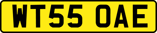WT55OAE