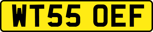 WT55OEF