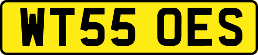 WT55OES