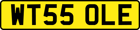 WT55OLE