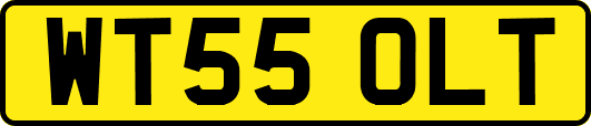 WT55OLT