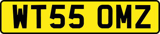 WT55OMZ