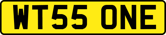 WT55ONE