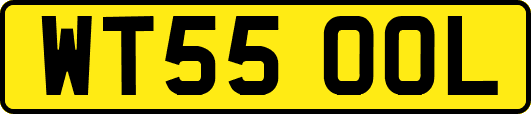 WT55OOL