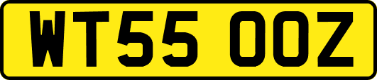 WT55OOZ