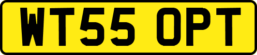WT55OPT