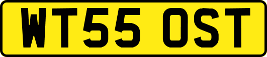 WT55OST