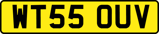 WT55OUV