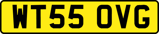 WT55OVG