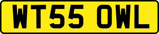 WT55OWL