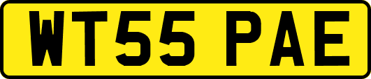 WT55PAE