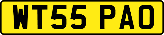 WT55PAO