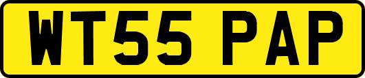 WT55PAP