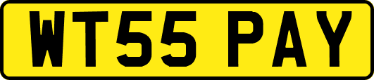 WT55PAY