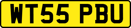 WT55PBU