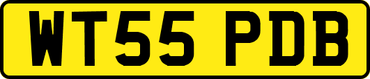 WT55PDB