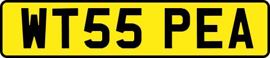 WT55PEA