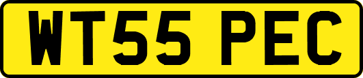 WT55PEC
