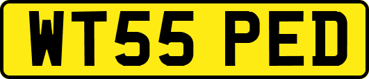 WT55PED