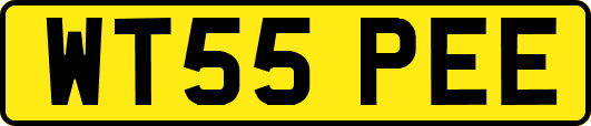 WT55PEE
