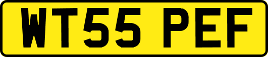 WT55PEF