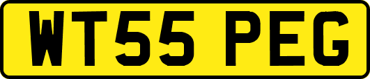 WT55PEG