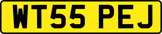 WT55PEJ