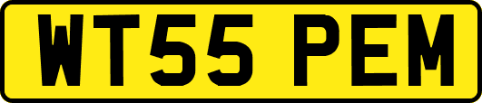 WT55PEM