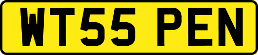 WT55PEN