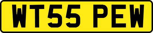 WT55PEW