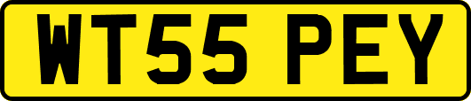 WT55PEY