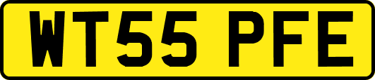 WT55PFE