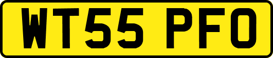 WT55PFO