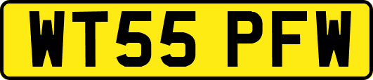 WT55PFW