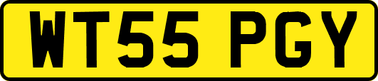 WT55PGY