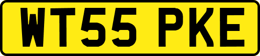WT55PKE