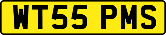 WT55PMS