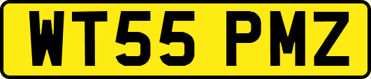 WT55PMZ