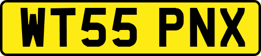 WT55PNX