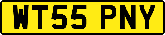 WT55PNY